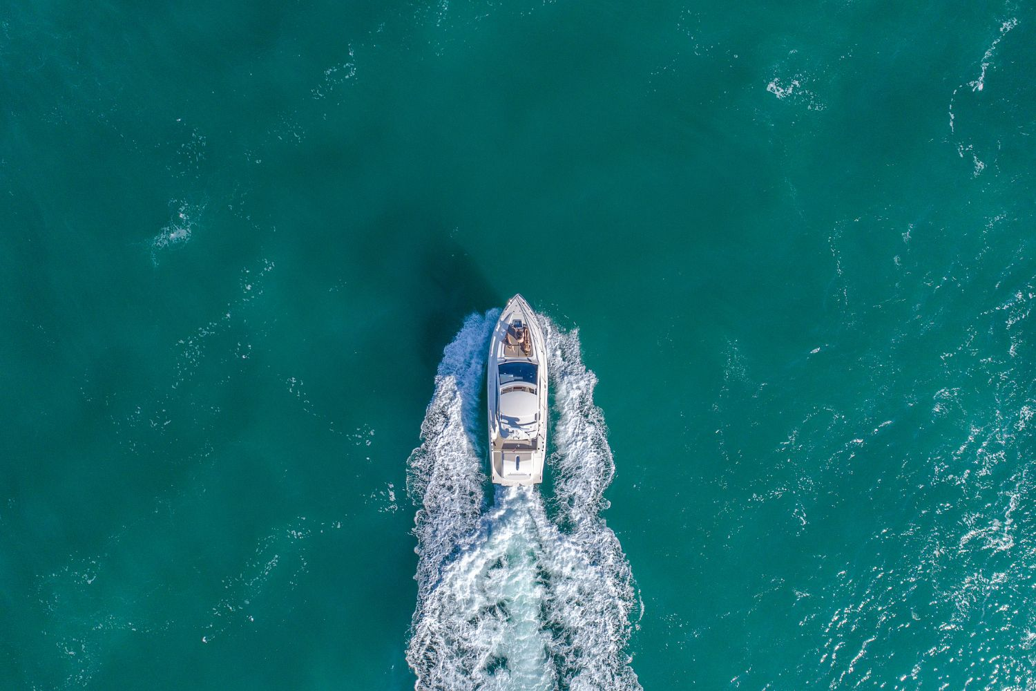Boat trip experience
